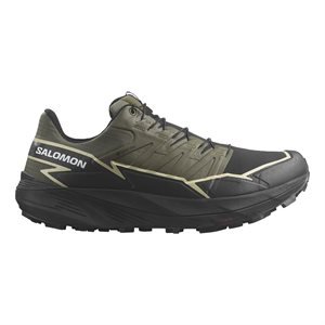 Salomon Thundercross GTX homme 