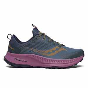 Saucony Ride TR2 GTX femme 