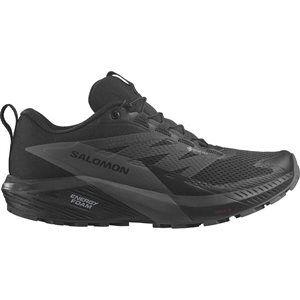 Salomon Sense Ride 5 GTX homme